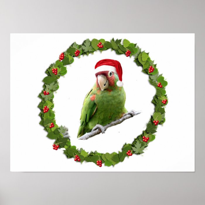 Conure Christmas Wreath Print