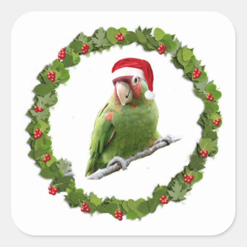 Conure Christmas Wreath Square Sticker