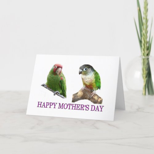 Conure Mothers Day Card