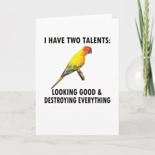 Conure Owner Gifts Conure Lover Parrot Sun Conure Card