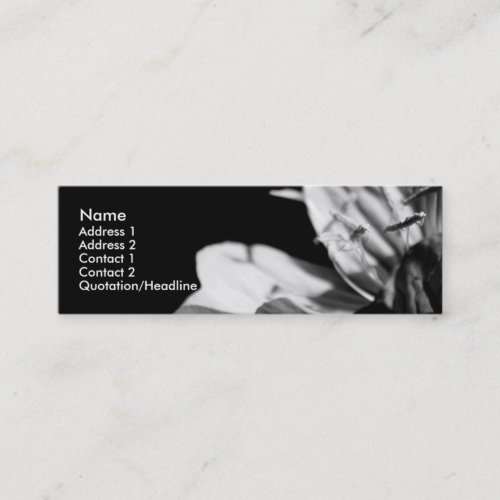Conversation 2 Floral Photography Mini Buisness C Mini Business Card