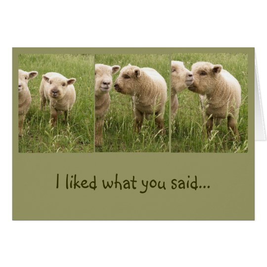 Conversation Card