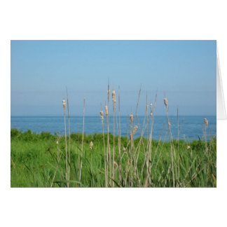 Conversations by the Sea Cards