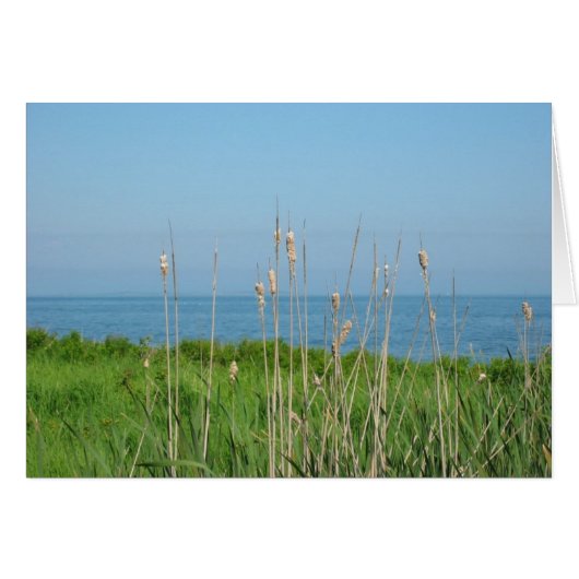 Conversations by the Sea Cards (Front Horizontal)