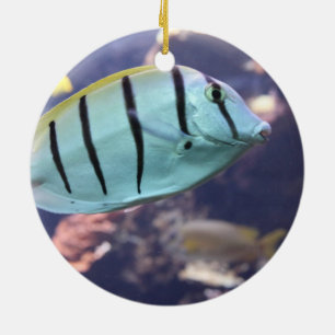 Convict Tang Gitter-Doktorfisch Ceramic Ornament