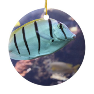 Convict Tang Gitter-Doktorfisch Ceramic Ornament