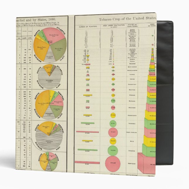 Convicts in Penitentiaries by State 3 Ring Binder (Front/Inside)