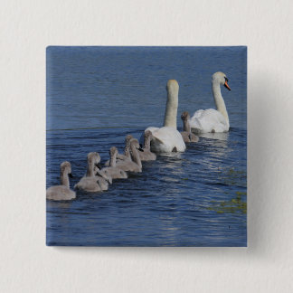 Convoy of Swans Button
