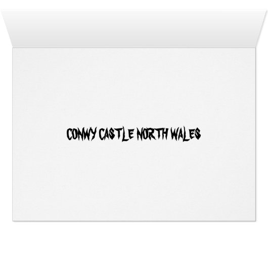 CONWY CASTLE (Inside Horizontal (Bottom))