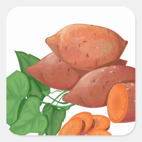 Cook a Sweet Potato Day _ Appreciation Day Square Sticker