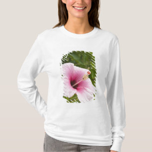 Cook Islands, Atiu. Hibiscus flower. T-Shirt