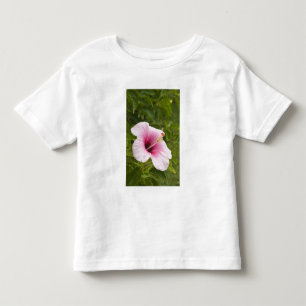 Cook Islands, Atiu. Hibiscus flower. Toddler T-shirt