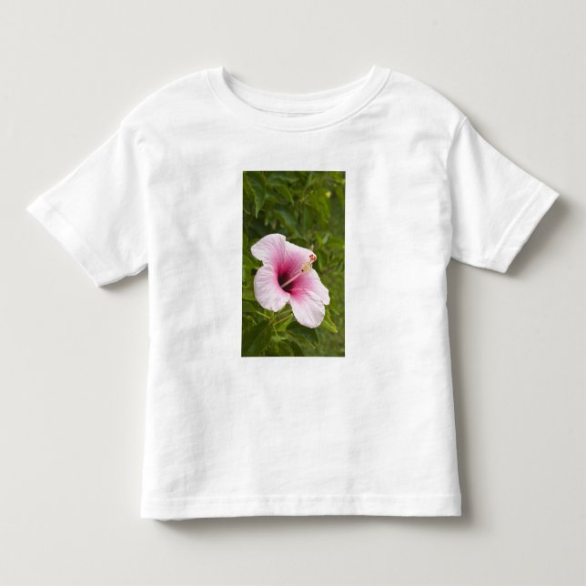 Cook Islands, Atiu. Hibiscus flower. Toddler T-shirt (Front)