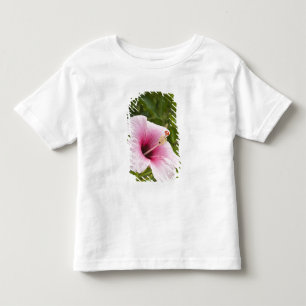 Cook Islands, Atiu. Hibiscus flower. Toddler T-shirt
