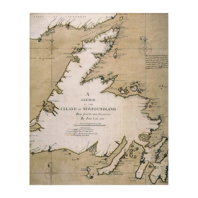 COOK: NEWFOUNDLAND, 1763 ACRYLIC PRINT (Front)