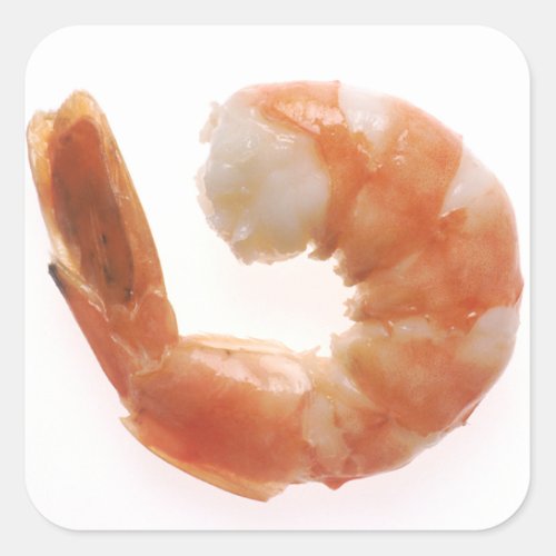 Cooked Shrimp Square Sticker