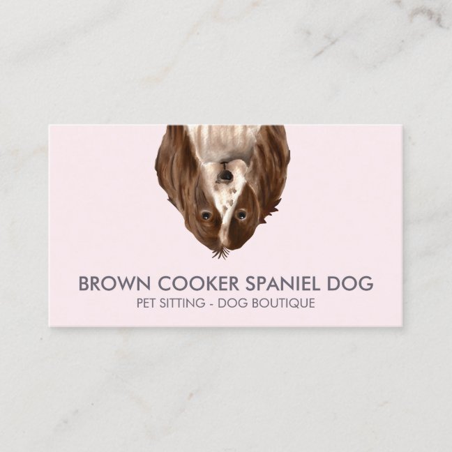 Cooker Spaniel Dog Business Card