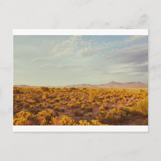 Cookes Peak Postcard 14 (Front)