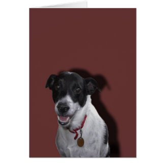 Cookie? Cards