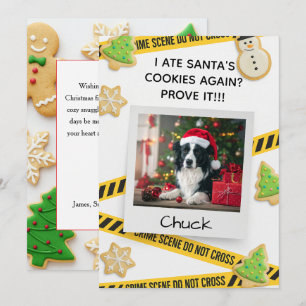 Cookie Crime Scene Funny Dog Christmas Card