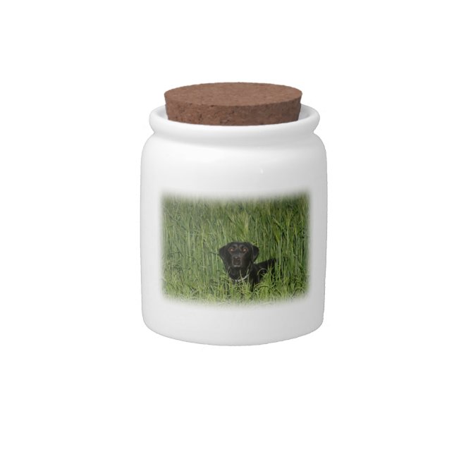Cookie Jar for Labrador Dog (Front)