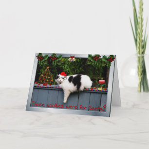 Cookie Loving Cat Holiday Card