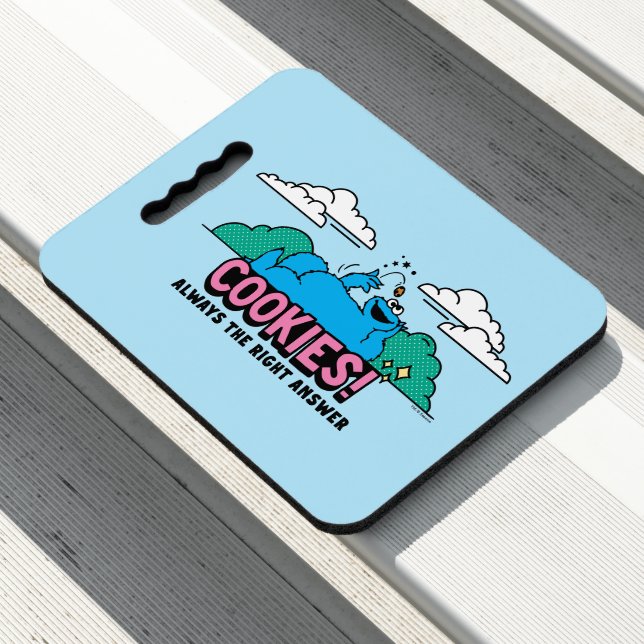 Cookie Monster | Cookies Always the Right Answer Seat Cushion (In Situ)