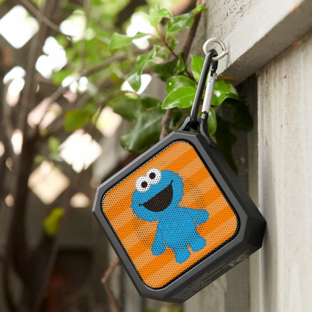 Cookie Monster Wool Style Bluetooth Speaker (Inisitu)