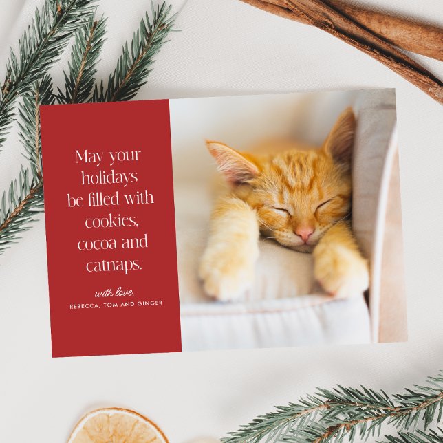 Cookies Cocoa Catnaps Pet  Holiday Card (Creator Uploaded)
