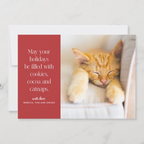 Cookies Cocoa Catnaps Pet  Holiday Card