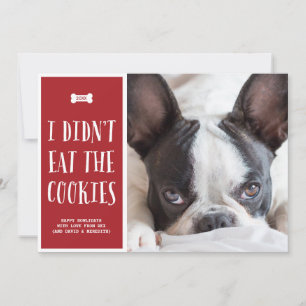 Cookies   Cute Pet Holiday Photo Card