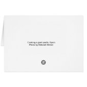 Cooking a giant paella cards (Back Horizontal)