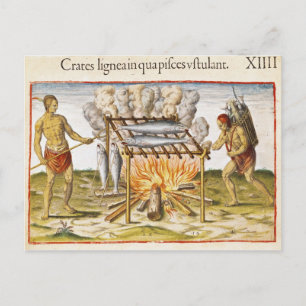 Cooking Fish Postcard