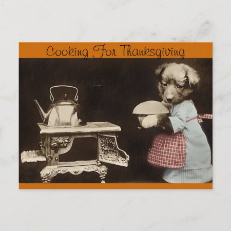 Cooking For Thanksgiving Holiday Postcard