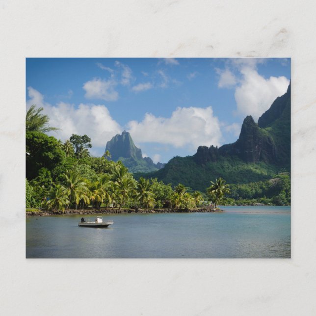 Cook's Bay, Moorea postcard (Front)