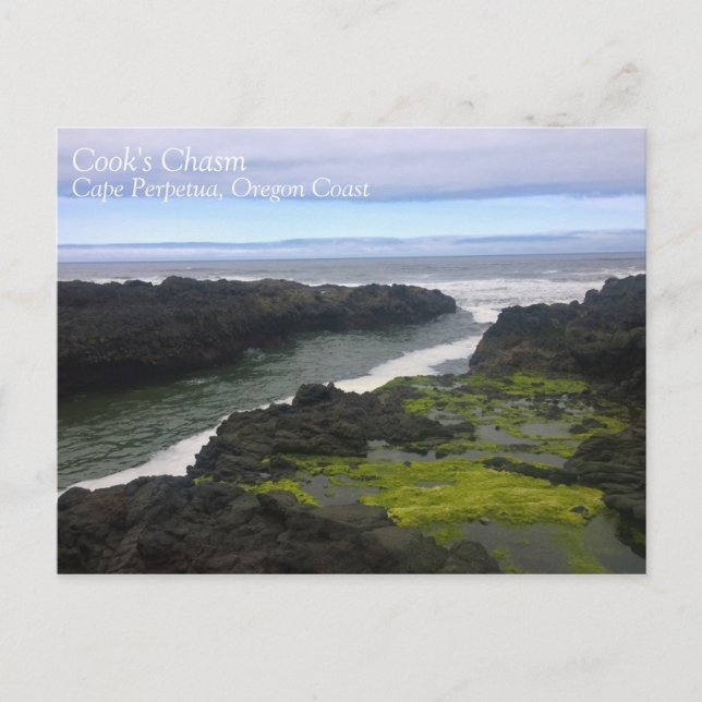 Cook's Chasm, Cape Perpetua, OR Postcard (Front)