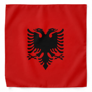 Cool Albania Flag Fashion Bandana