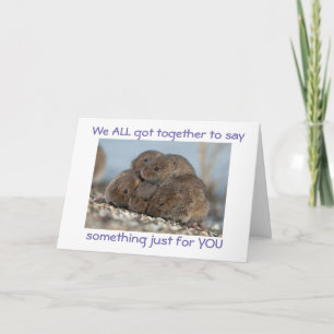 COOL AND FUN "GROUP CARD" FOR OFFICE AND FRIENDS C CARD