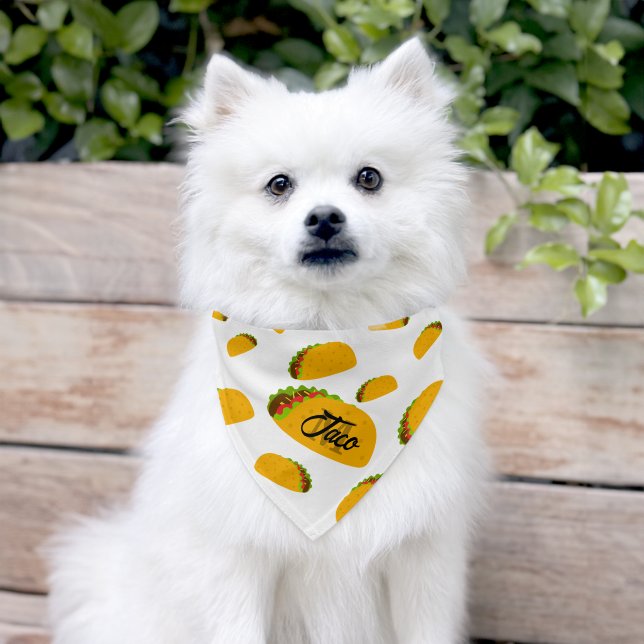 Cool and fun yummy taco pattern white Monogram Pet Bandana Collar (Dog)
