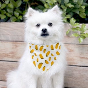 Cool and fun yummy taco pattern white pet bandana collar