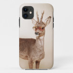 Cool Animals In Sunglasses. Iphone 11 Case at Zazzle