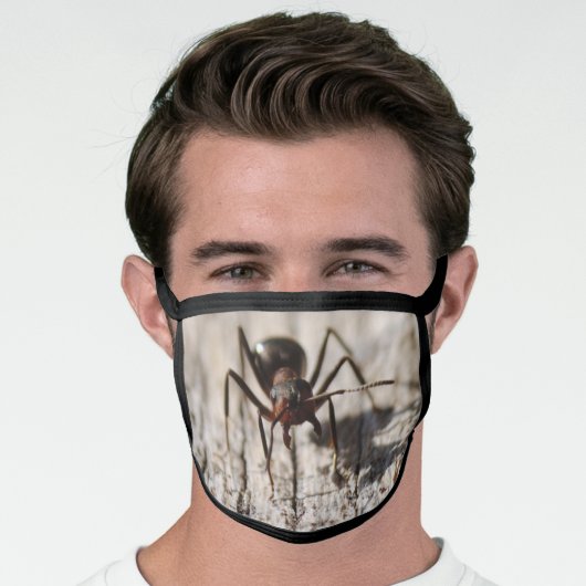 Cool Ant Photo Insects Picture High Definition Face Mask (Worn Him)