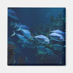 Cool Aquarium Fish Dark Water Magnet