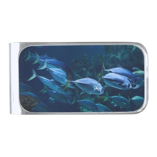 Cool Aquarium Fish Dark Water Silver Finish Money Clip (Front)