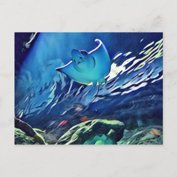 Cool Artistic Underside Of Stingray Postcard by ArtsyPhoto at Zazzle