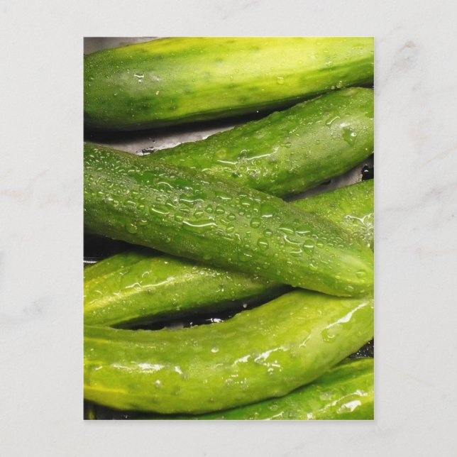 cool As A cucumber Postcard (Front)
