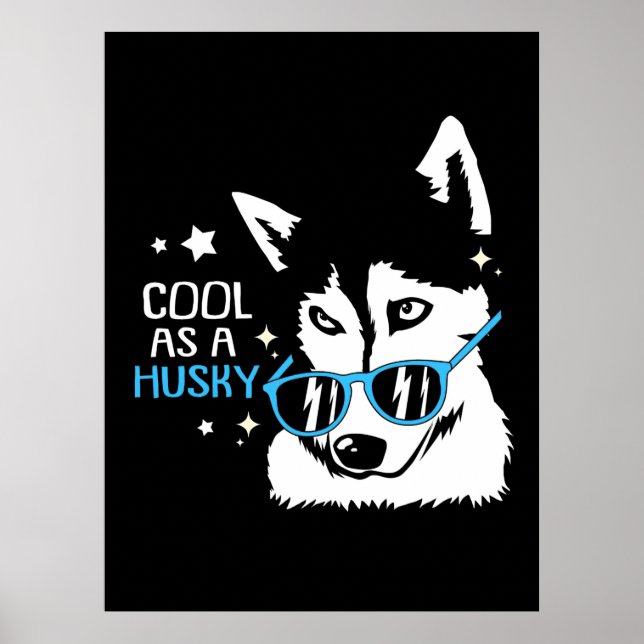 Cool As A Husky Dog Poster (Front)