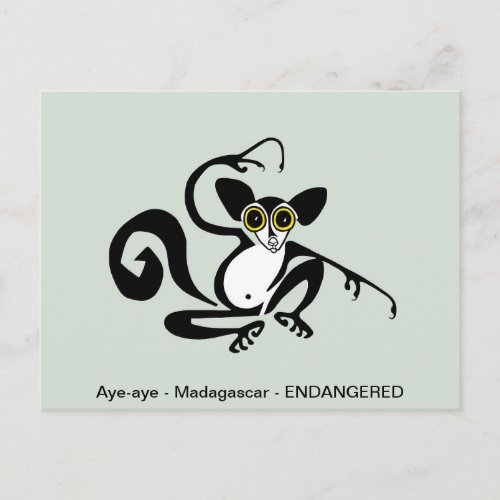 Cool AYE_AYE_ lemur _ primate _ wildlife _  Postcard