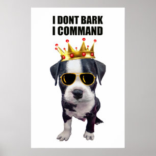 Cool baby dog with funny phrase at top poster