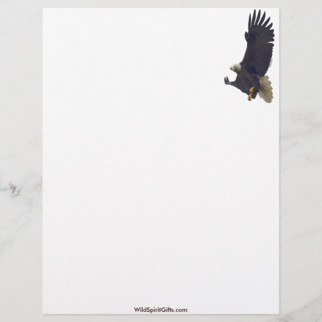 Cool Bald Eagle Wildlife Collection Letterhead (Front)